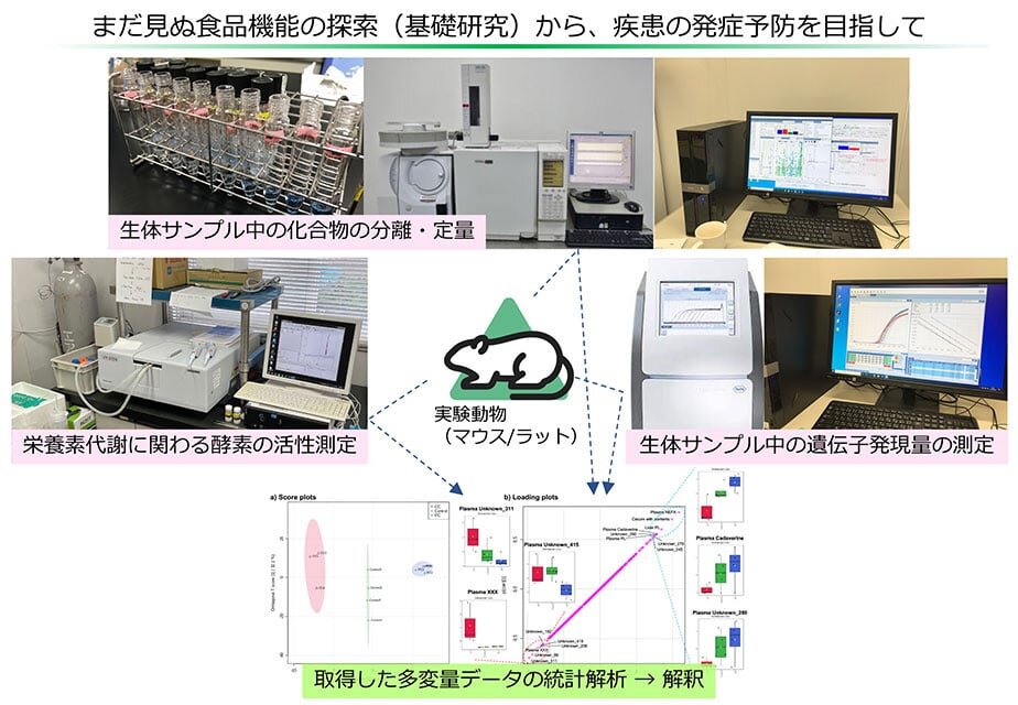 栄養化学研究室(城内文吾 教授)