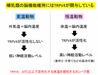 細胞生化学研究室(柴崎貢志 教授)