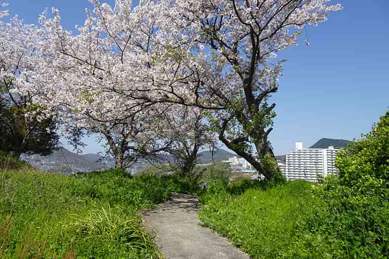 どんの山